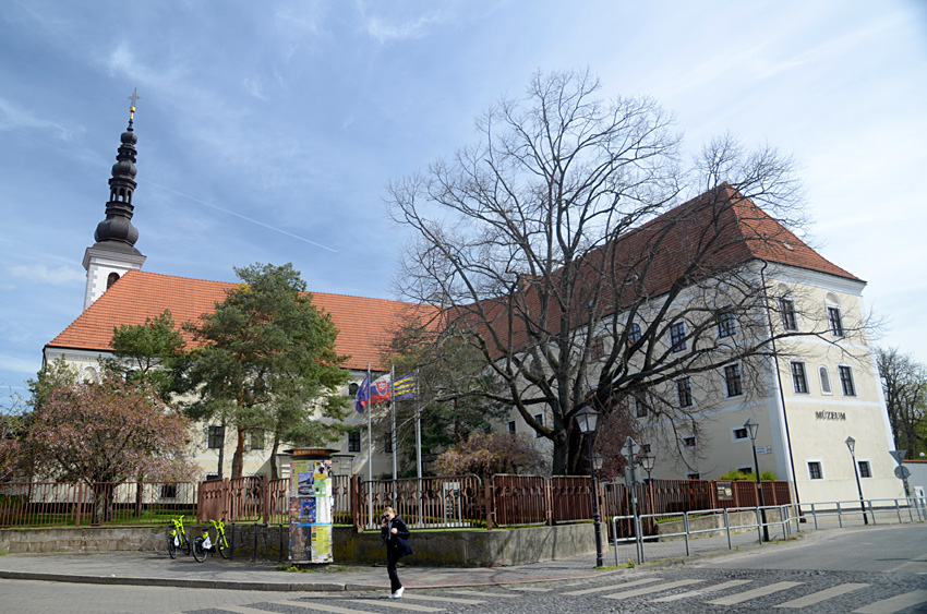 Trnava - kostel Nanebevzetí Panny Marie